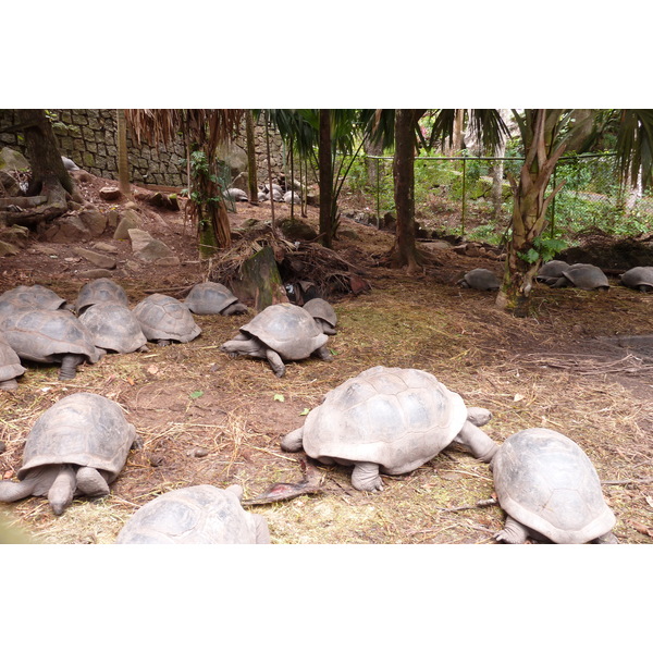 Photo Seychelles Mahé 2011-10 143