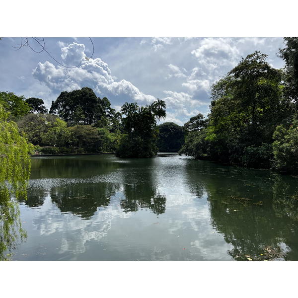Photo Singapour Jardins botaniques de Singapore 2023-01 13