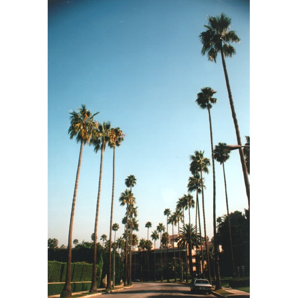 Photo États-Unis Beverly Hills 1992-08 13