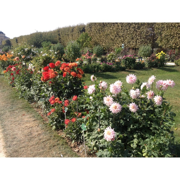 Photo France Paris Jardin des Plantes 2014-09 4