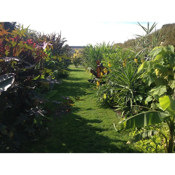Photo France Paris Jardin des Plantes 2014-09 14