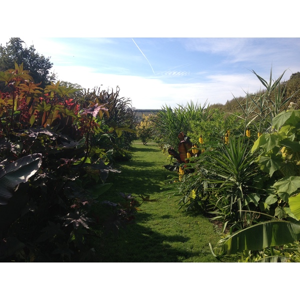 Photo France Paris Jardin des Plantes 2014-09 18