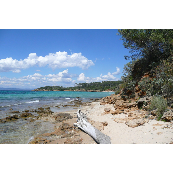 Photo France Ile de Porquerolles Plage de la Courtade 2008-05 58