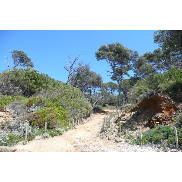Photo France Ile de Porquerolles Plage de la Courtade 2008-05 74