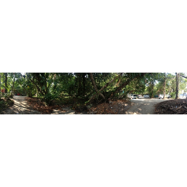 Photo Costa Rica Parc Manuel Antonio 2015-03 207