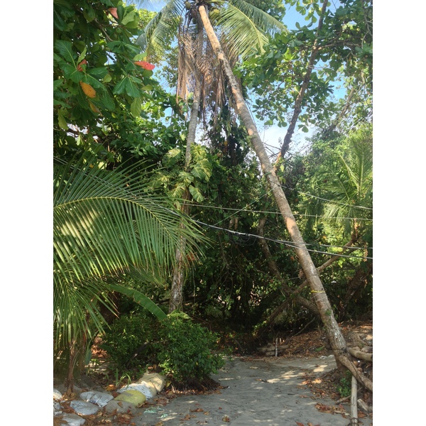 Photo Costa Rica Parc Manuel Antonio 2015-03 202