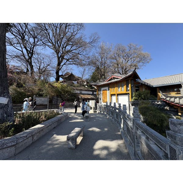 Photo Chine Lijiang 2026-01 303