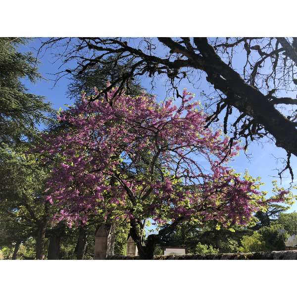 Photo France Rocamadour 2018-04 245