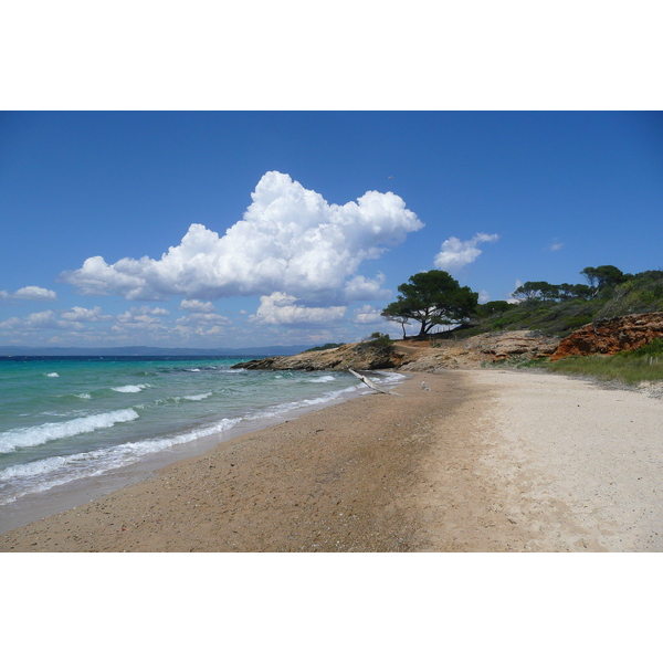 Photo France Ile de Porquerolles Plage de la Courtade 2008-05 34