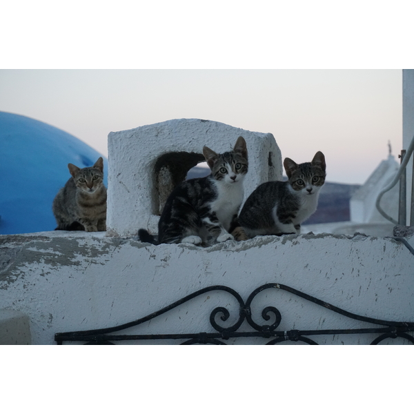 Photo Grèce Santorin 2016-07 77