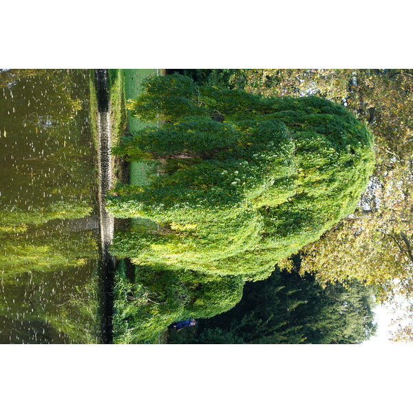 Photo France Paris Bagatelles 2016-10 27