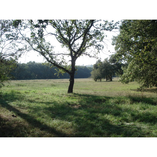 Photo France Villeneuve Loubet Parc de Vaugrenier 2006-09 2