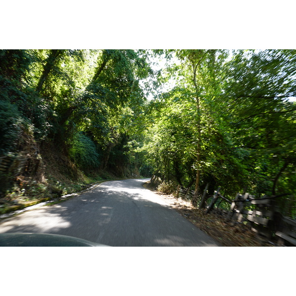 Photo France Corse Loreto-di-Casinca 2017-09 43