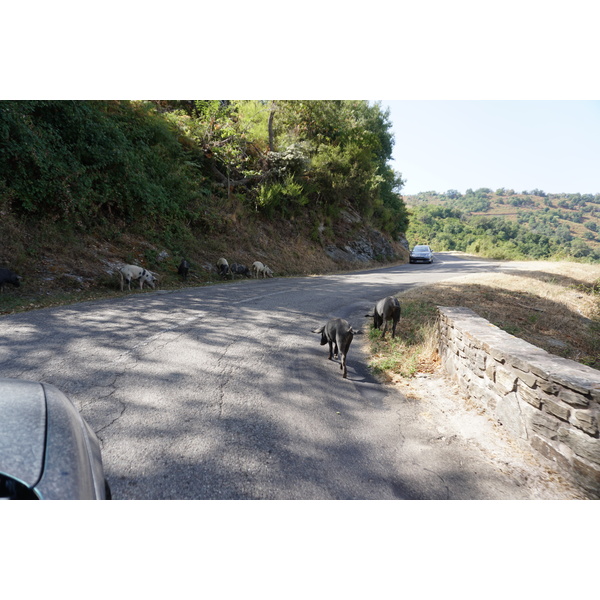 Photo France Corse Loreto-di-Casinca 2017-09 29