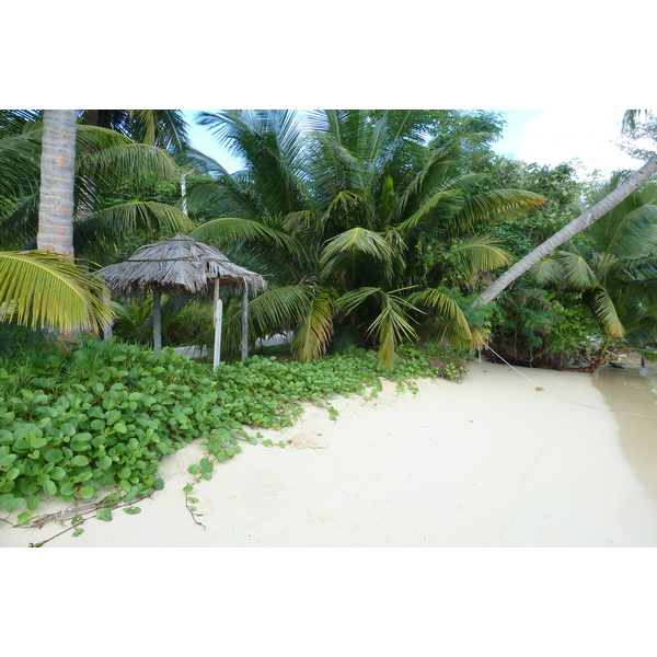 Photo Seychelles Anse Possession 2011-10 16