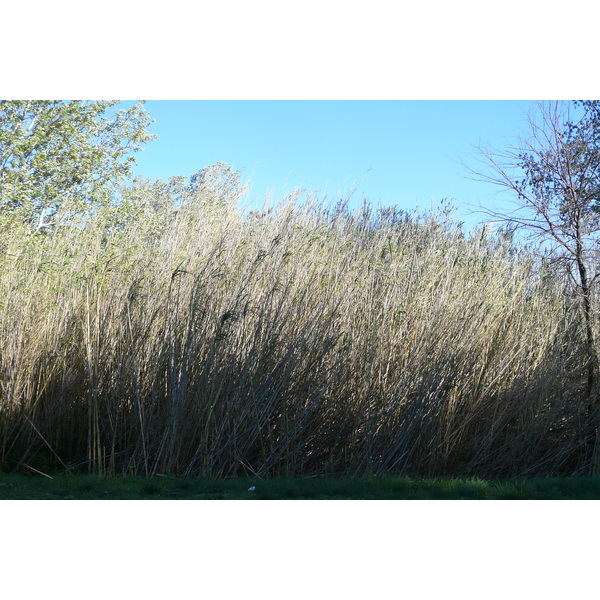 Photo France Provence route des Baux de Provence à Tarascon 2008-04 3