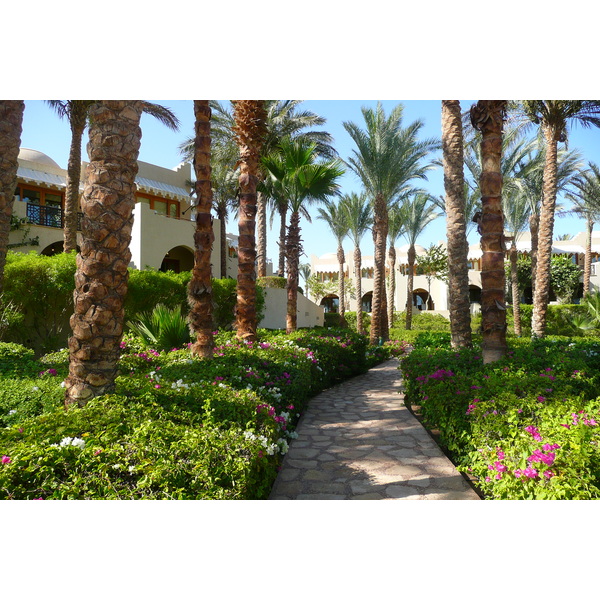 Photo Égypte Sharm el Sheikh Hotel Four Seasons 2008-06 85