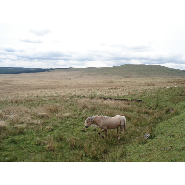 Photo Royaume-Uni Parc national des Brecon Beacons 2006-05 25