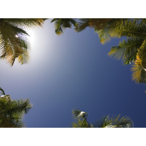 Photo Guadeloupe Plage de la Caravelle 2021-02 41