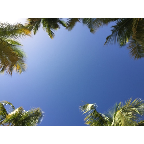Photo Guadeloupe Plage de la Caravelle 2021-02 99
