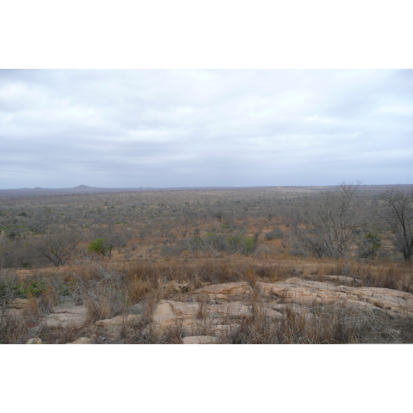 Photo Afrique du Sud Parc National Kruger 2008-09 178
