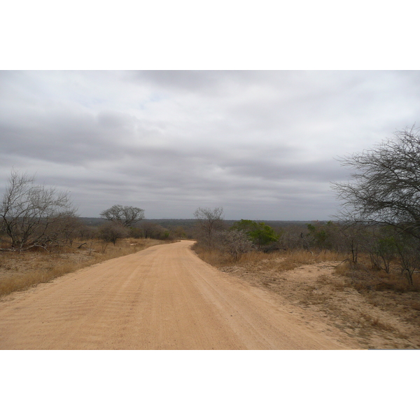 Photo Afrique du Sud Parc National Kruger 2008-09 189