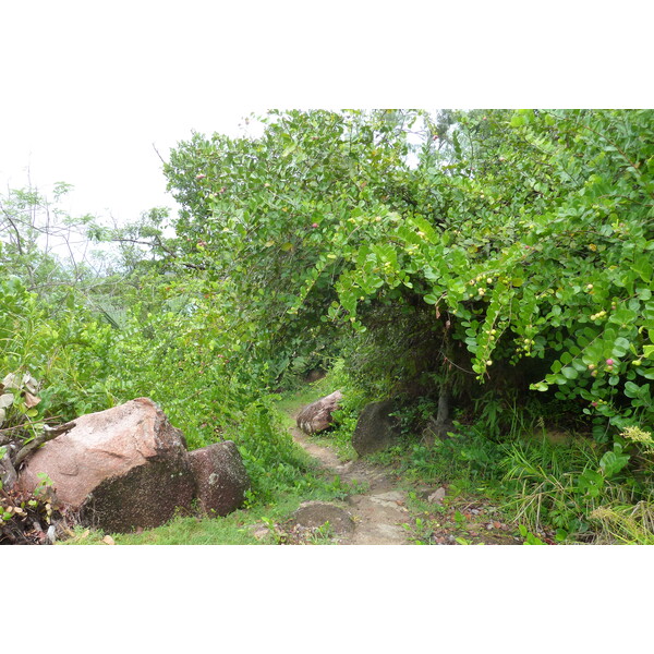 Photo Seychelles Anse Lazio 2011-10 113