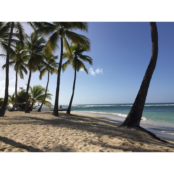 Photo Guadeloupe Plage de la Caravelle 2021-02 89