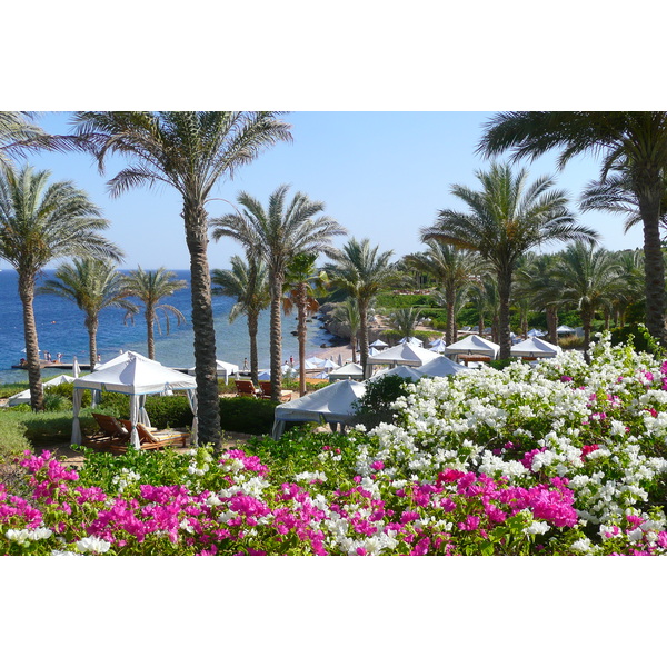 Photo Égypte Sharm el Sheikh Hotel Four Seasons Plage du Four Seasons 2008-06 49