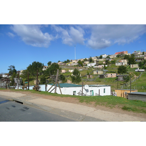 Photo Afrique du Sud Knysna 2008-09 96