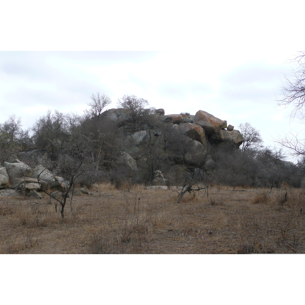 Photo Afrique du Sud Parc National Kruger 2008-09 18
