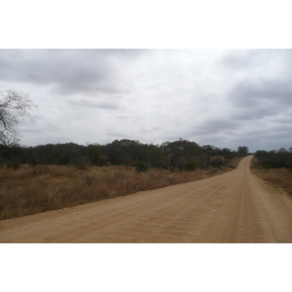 Photo Afrique du Sud Parc National Kruger 2008-09 14