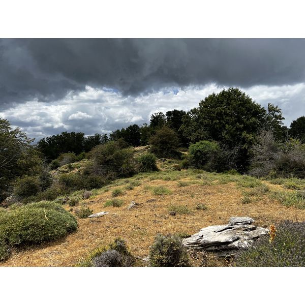 Photo France Corse Refuge de Callerucciu 2022-06 36