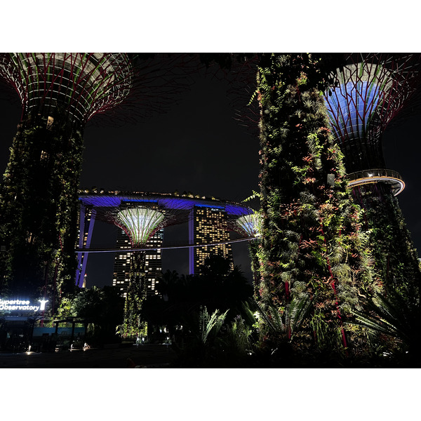 Photo Singapour Garden by the bay 2023-01 28