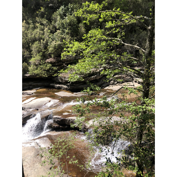 Photo France Corse Forêt d'Aïtone 2021-06 29