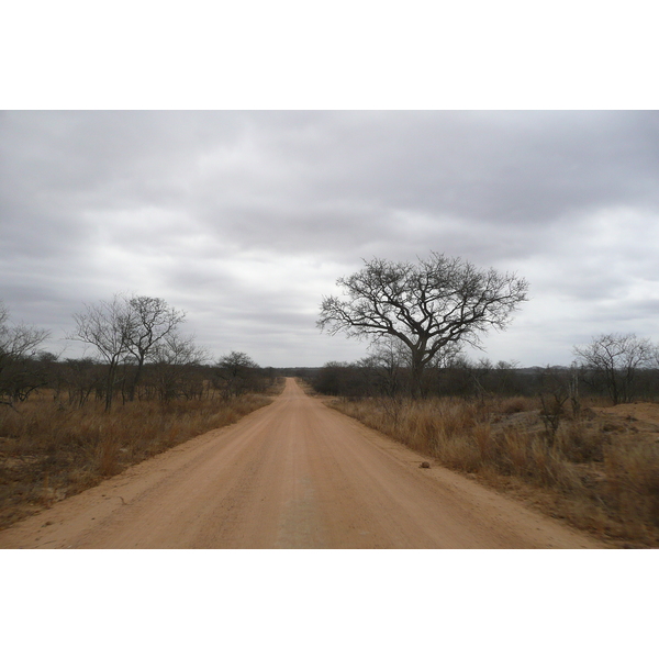 Photo Afrique du Sud Parc National Kruger 2008-09 72