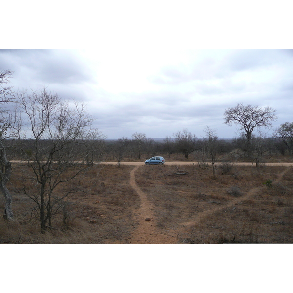 Photo Afrique du Sud Parc National Kruger 2008-09 92