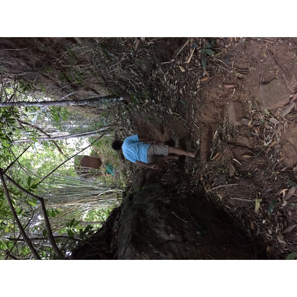 Photo Thaïlande Parc National Phu Hin Rong Kla 2014-12 320