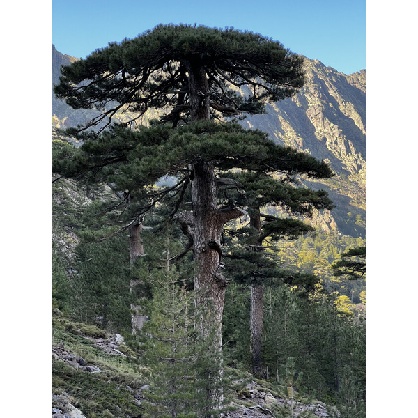 Photo France Corse Monte Cinto 2023-10 49