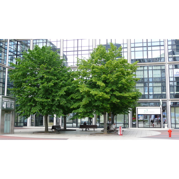 Photo France Paris La Defense 2007-05 239