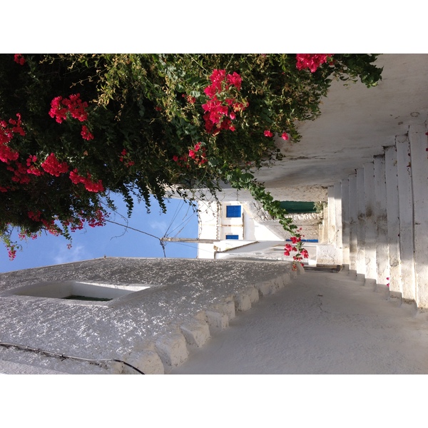 Photo Grèce Amorgos 2014-07 332