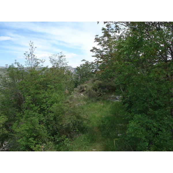 Photo France Vence Baou 2006-06 28