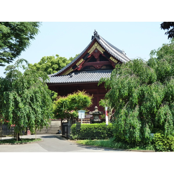 Photo Japon Tokyo Ueno 2010-06 93