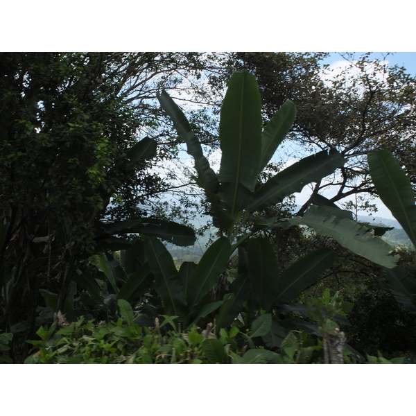 Photo Costa Rica Turrialba 2015-03 83