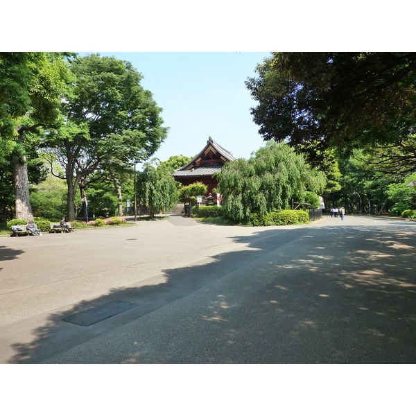 Photo Japon Tokyo Ueno 2010-06 84