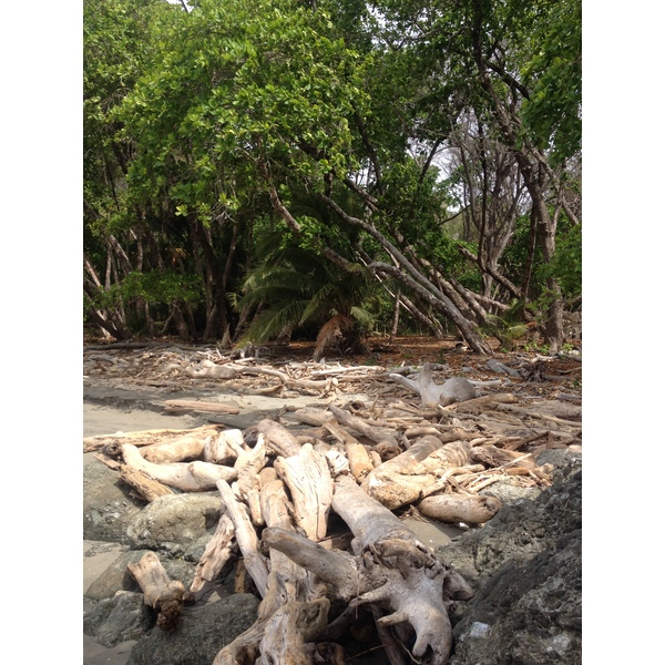 Photo Costa Rica Montezuma 2015-03 244