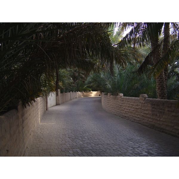 Photo Émirats arabes unis Al Ain Oasis 2005-03 9