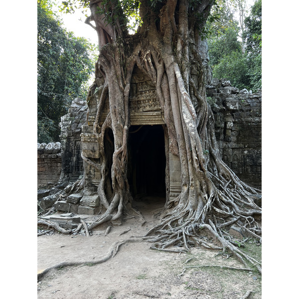 Photo Cambodge Siem Reap Ta Som 2023-01 20