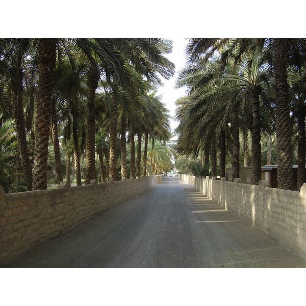 Photo Émirats arabes unis Al Ain Oasis 2005-03 1