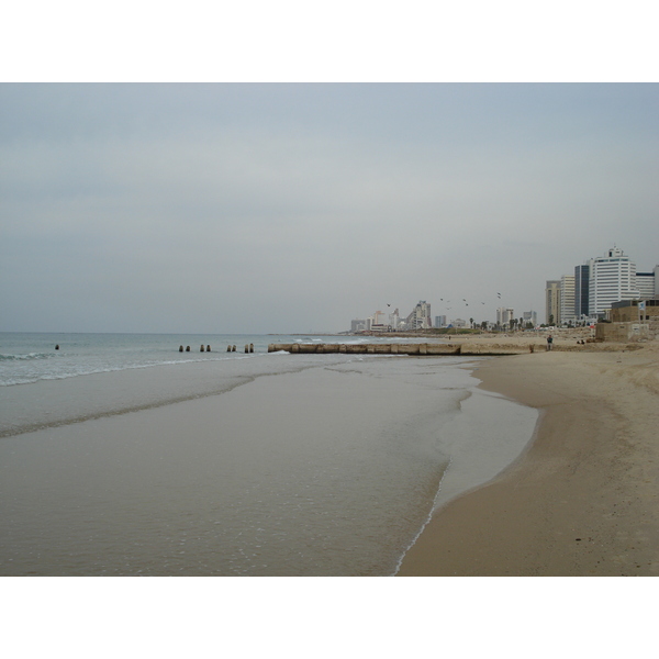 Photo Israel Tel Aviv Tel Aviv bord de mer 2006-12 298